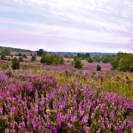 Apartamento Schwedenhaus