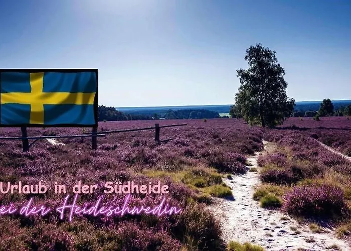 Appartement Schwedenhaus *