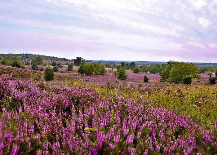 Appartement Schwedenhaus