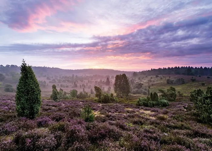 Appartement Schwedenhaus